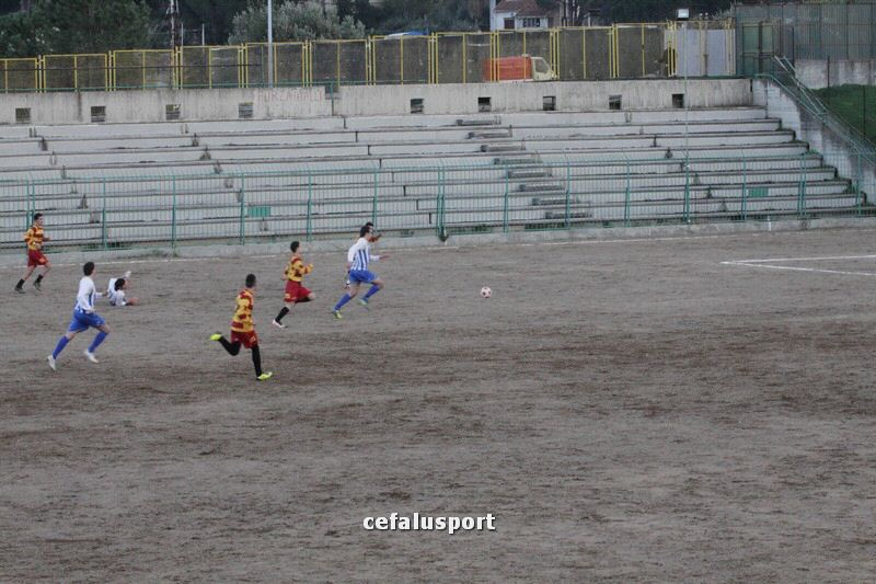 111218 Cerda 167_tn.jpg